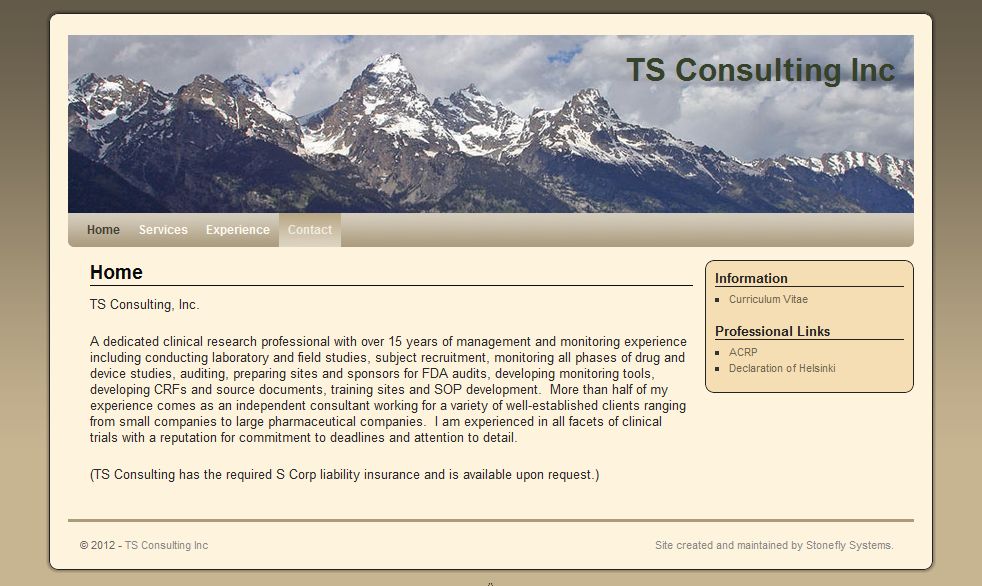 ts-consulting